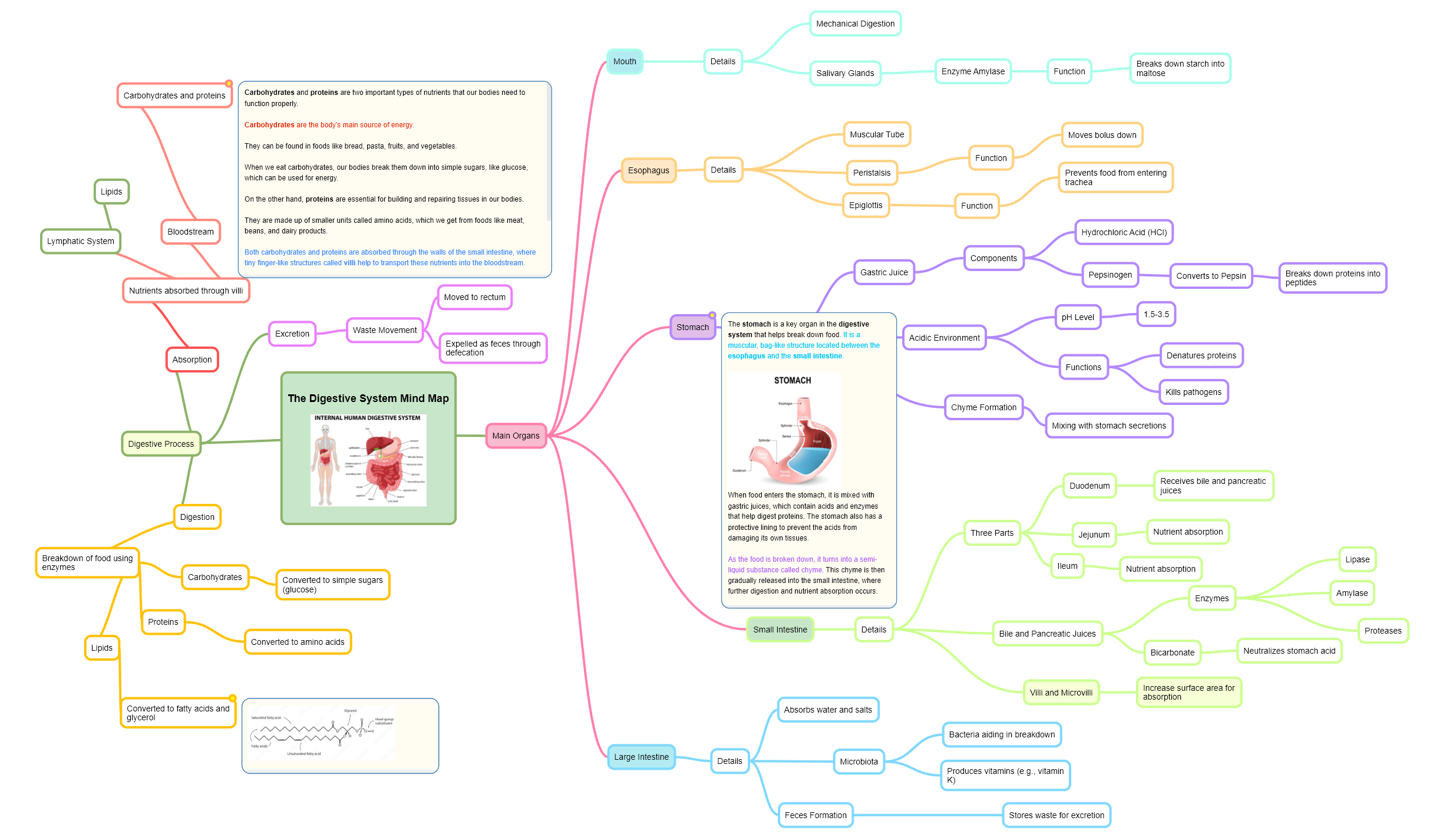 Mindmap used to Organise Notes