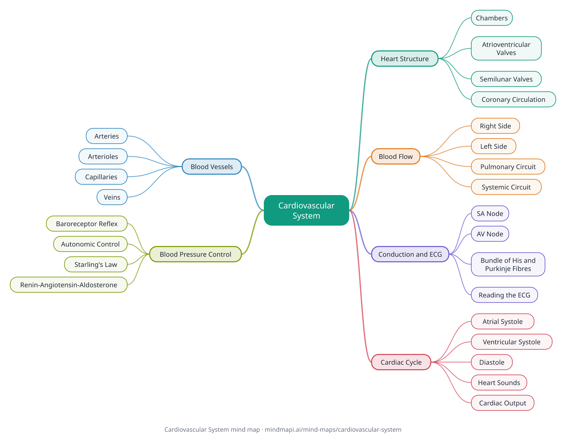 Cardiovascular System mind map for University revision