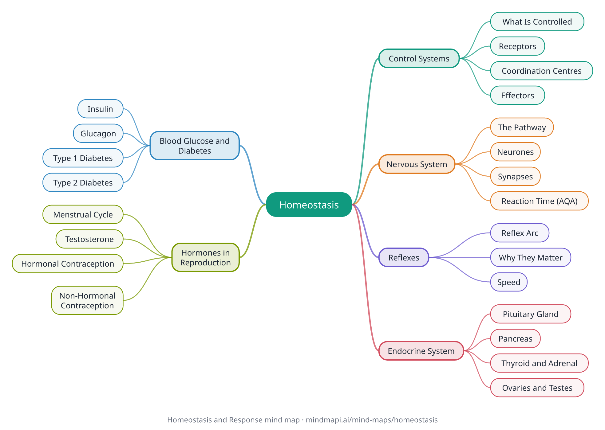 Homeostasis and Response mind map for GCSE revision